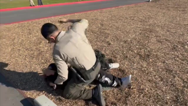 Deputy punches 14-year-old in head repeatedly during arrest