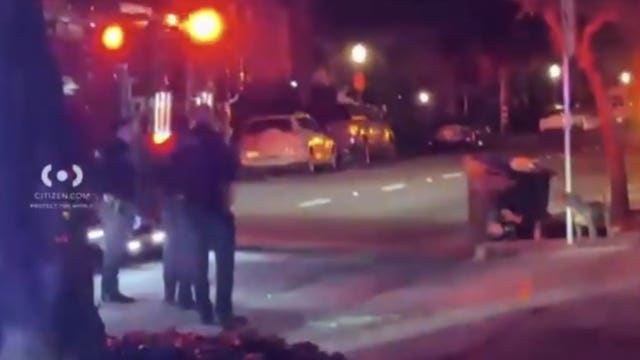 Dog that 'suddenly charged' fatally shot by police in Pasadena