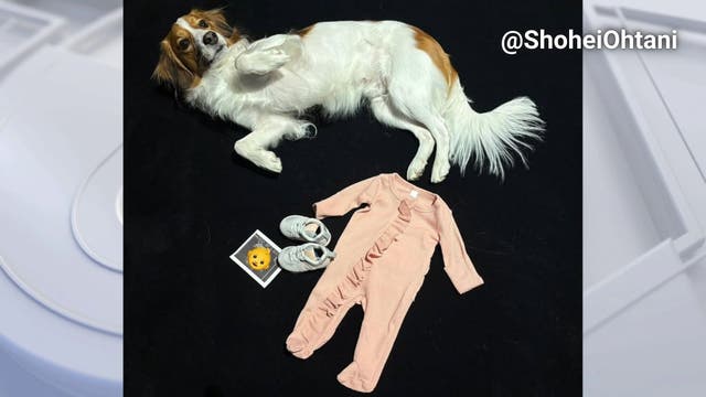 Shohei Ohtani on paternity list as wife Mamiko Tanaka is expecting couple's first child