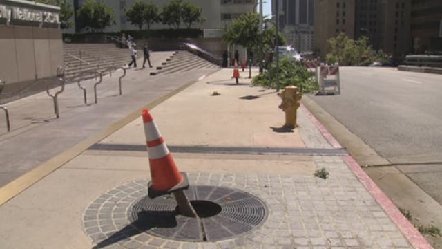 Trees hacked by chainsaw-wielding vandals in DTLA