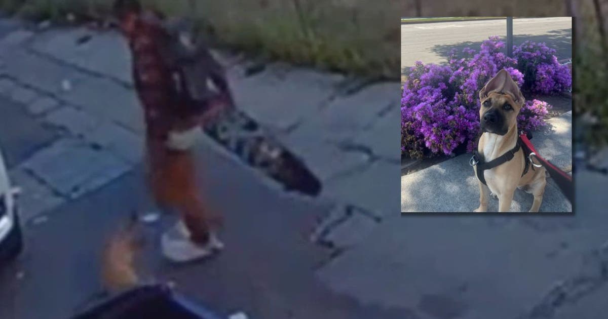 Man sentenced to 3 years after video showed him abusing dog in Long Beach | FOX 11 Los Angeles