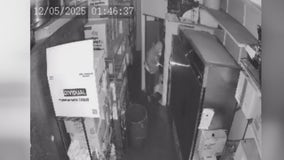 Burglar cuts through ceiling before breaking into Mort's Deli in Tarzana