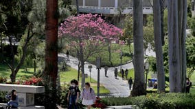 UC Irvine police searching for man suspected of rape on campus