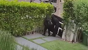 Hancock Park residents express concern over rise in home robberies