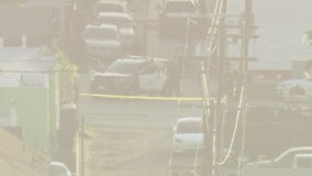 2 killed, 1 injured in South LA shooting - 2 arrested