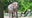 LA Zoo being sued over plans to move elephants to Oklahoma