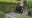 Hancock Park residents express concern over rise in home robberies