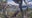 Sunny and Gizmo reach big milestone ahead of 1st flight