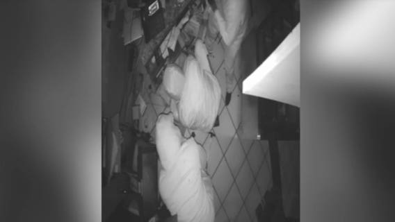 CAUGHT ON CAMERA: Burglars break into LA bakery, steal tip jar