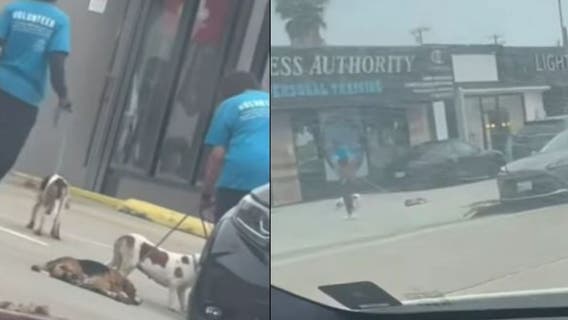 Video shows OC pet rescue volunteer dragging dog