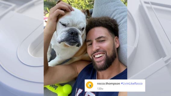 Klay Thompson's dog Rocco dies at 13