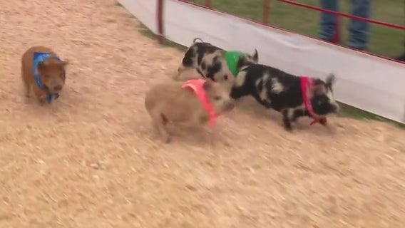 LA County Fair opens Friday through May 26, 2025