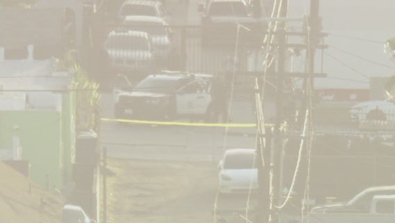 2 killed, 1 injured in South LA shooting - 2 arrested