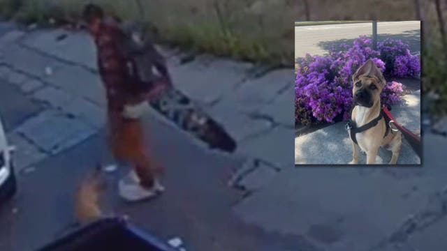 Man sentenced to 3 years after video showed him abusing dog in Long Beach