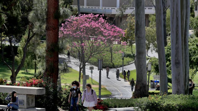 UC Irvine police searching for man suspected of rape on campus