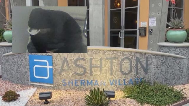 Family of man murdered in Valley Village apartment suing landlords for negligent management