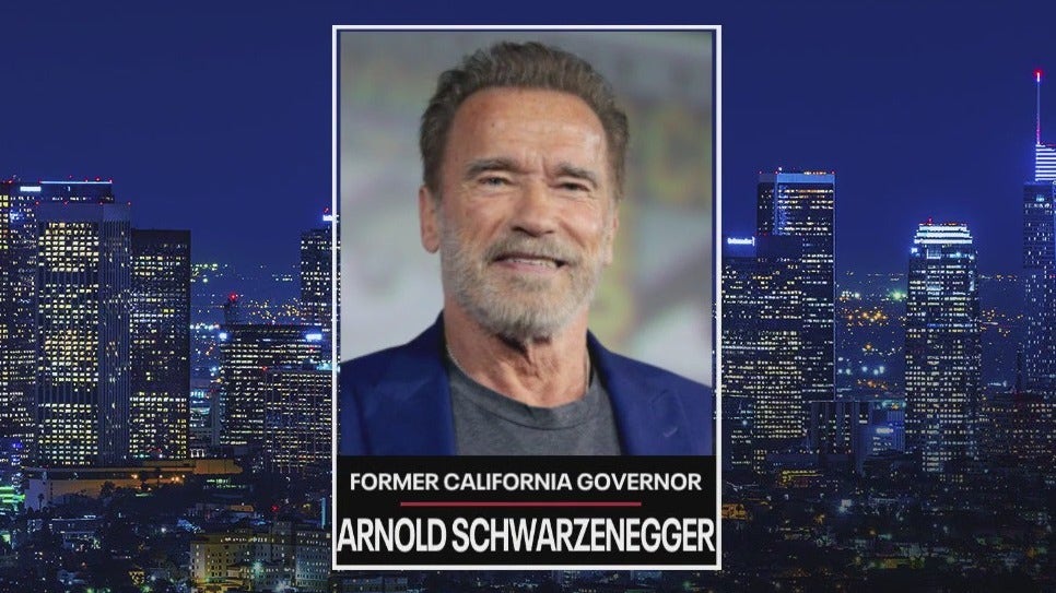 The Issue Is: Arnold Schwarzenegger at the Austrian World Summit