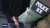 In Depth: Immigration Law
