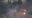 LA ICE protests, Day 2: Paramount, downtown LA at center of car fires, smoke bomb explosions