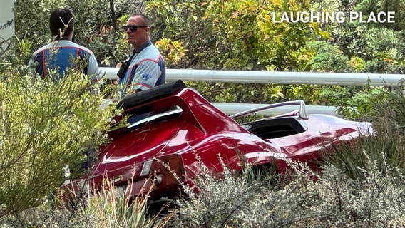 Disneyland ride shuts down after car derails off track: Witness