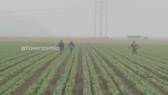 Trump pledges protection for farmworkers as raids hit SoCal fields