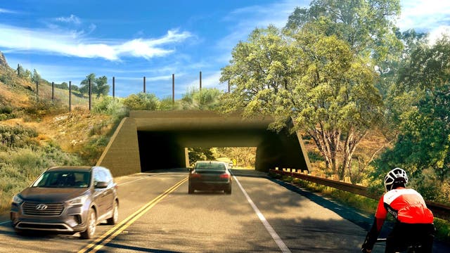101 Freeway wildlife crossing reaches final phase