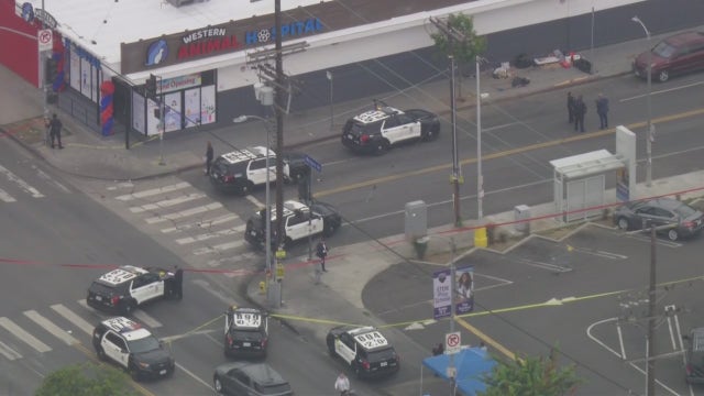 Suspect pointing shotgun at people, cars in LA shot by police