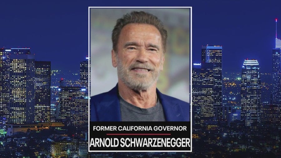 The Issue Is: Arnold Schwarzenegger at the Austrian World Summit