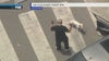 Man with dog in custody after pursuit ends in front of Santa Monica Pier