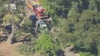 8-year-old boy dies, 4 others hurt after large tree branch falls during kids' summer camp near Calabasas