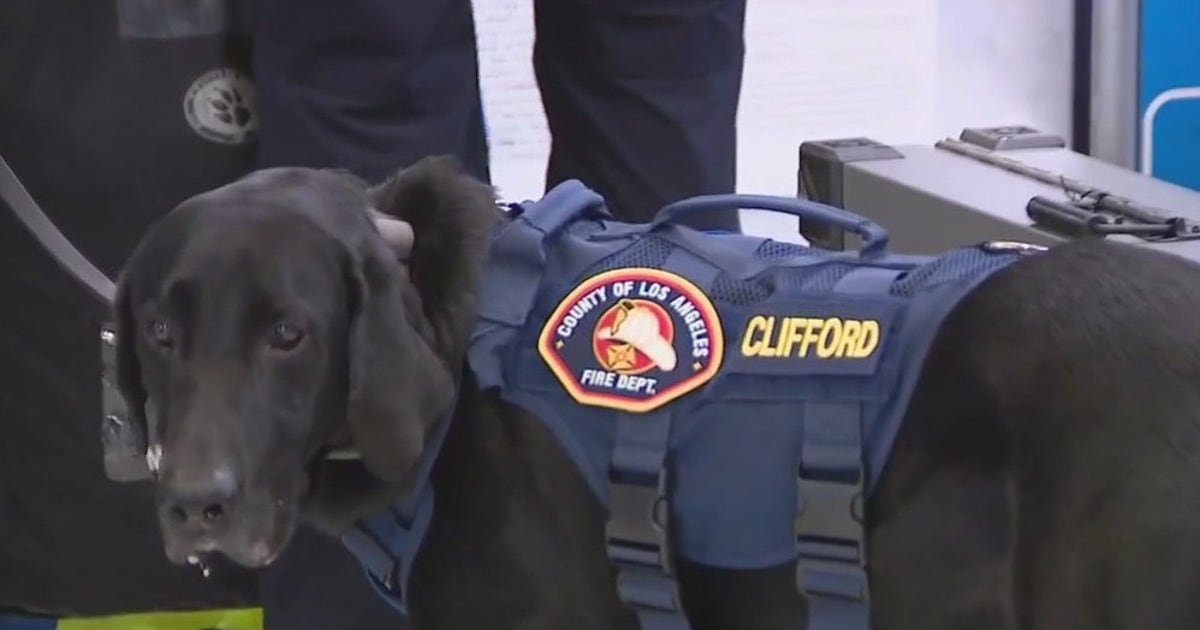 LA County Fire canine teams deployed to Texas to assist with search and ...