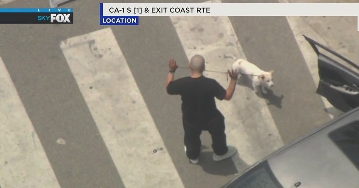 Man with dog in custody after pursuit ends in front of Santa Monica ...