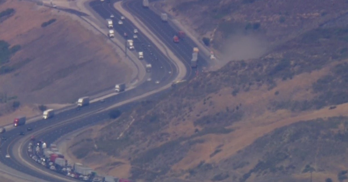 Castaic brush fire temporarily shuts down lanes on 5 Freeway | FOX 11 ...