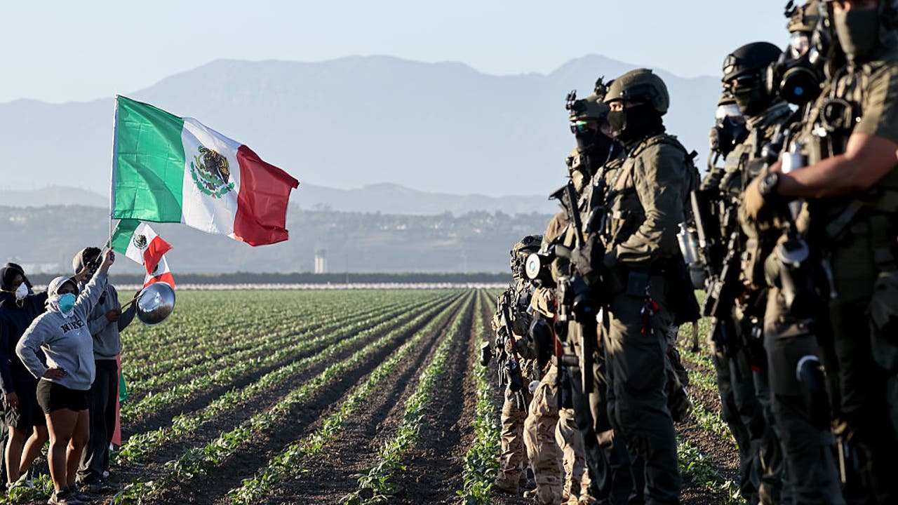 Rescatan a Menores No Acompañados en Operación en Cultivo de Cannabis en Ventura County: Detalles de la Intervención de la DHS