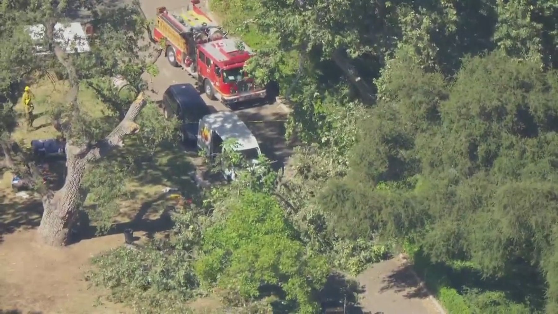 8-year-old boy dies, 4 others hurt after large tree branch falls during kids' summer camp near Calabasas