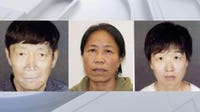 Arcadia couple arrested after 21 surrogate children found in abuse investigation