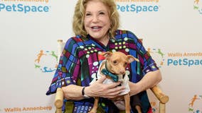 LA philanthropist Wallis Annenberg dies at 86