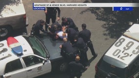 LAPD executes PIT maneuver to end pursuit involving assault suspect