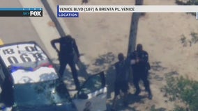 Pursuit suspect in custody after throwing punch at LAPD officer