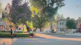 CAUGHT ON CAMERA: Thieves run away with safe from Woodland Hills home