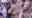 Border Patrol arrests man accused of spitting on agent in Los Angeles