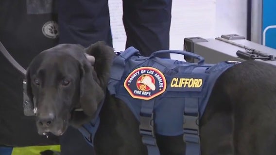 LA County Fire canine teams deployed to Texas to assist with search and rescue efforts