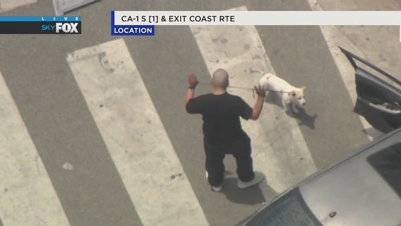 Man with dog in custody after pursuit ends in front of Santa Monica Pier