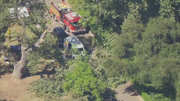 Young child dies after tree falls into site of kids summer camp near Calabasas