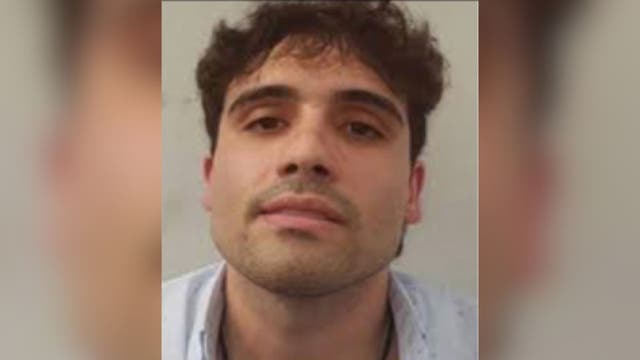 Son of 'El Chapo,' Ovidio Guzman Lopez, pleads guilty in US drug trafficking case