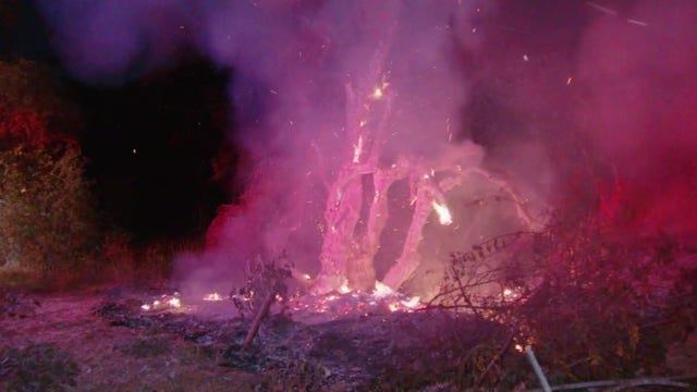 Runyon Canyon sees 2 fires in one week, residents concerned