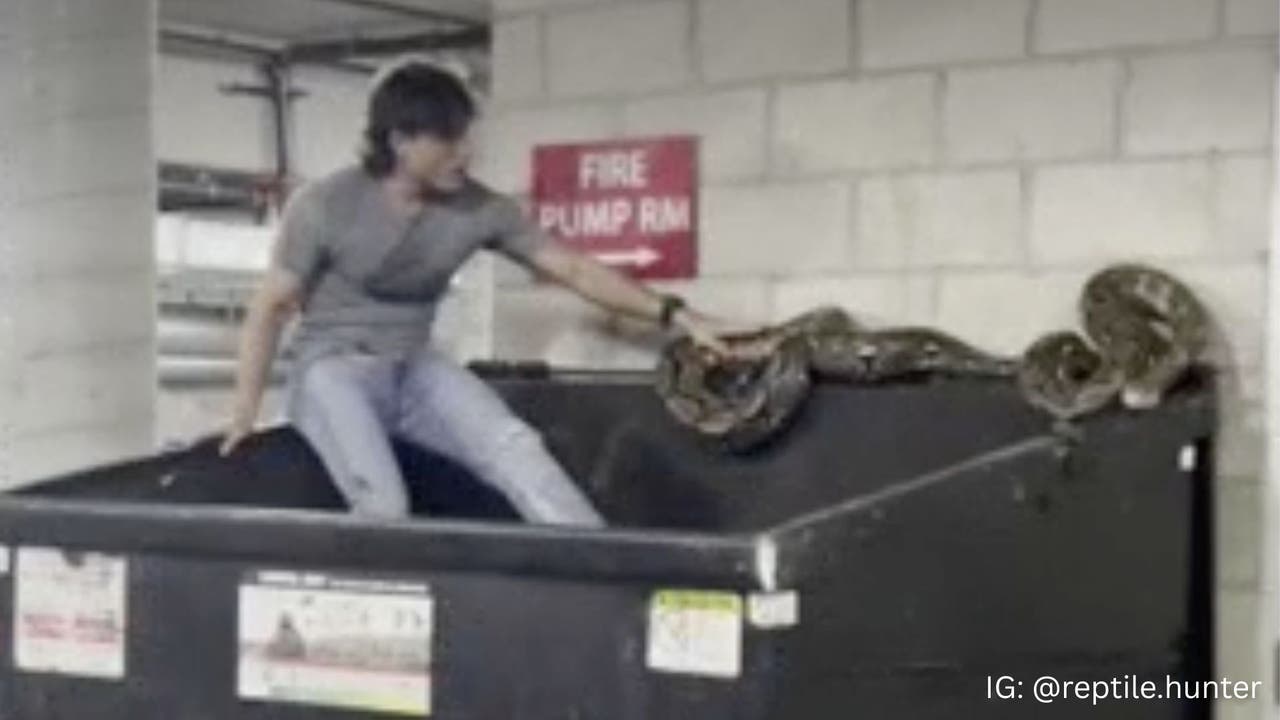 VIDEO: 20-foot python found abandoned in downtown LA dumpster