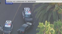 Woman in stolen BMW arrested after colliding with LAPD SUV