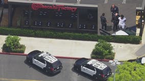'Give me back my baby,' man says before stabbing woman outside Canoga Park Cheesecake Factory