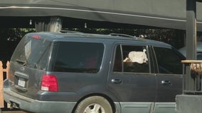 Hit-and-run driver plows into Woodland Hills restaurant